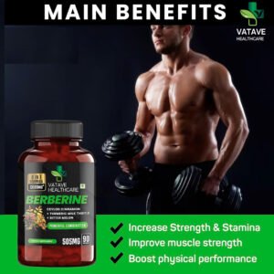Best Vatave Healthcare's Berberine Multivitamins